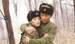 电视剧天下兄弟