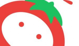 番茄动漫,描绘青春梦想的彩色画卷